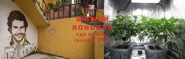 СК Нефтегорск