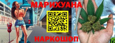 крисы Пенза