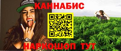 крисы Пенза