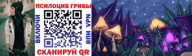 Псилоцибиновые грибы GOLDEN TEACHER  Ярославль 