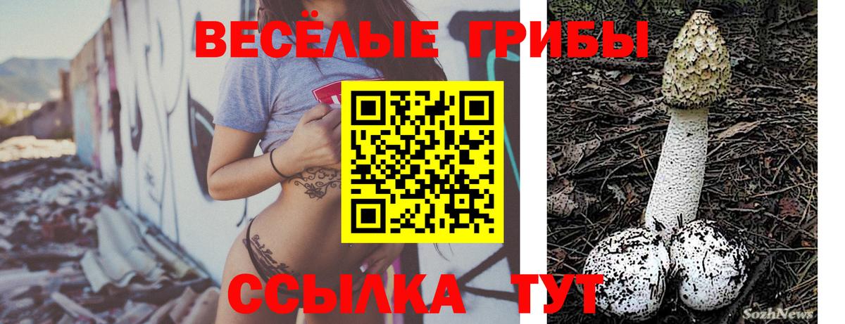 Галлюциногенные грибы GOLDEN TEACHER Ярославль